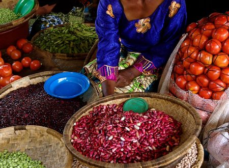 Food Webs and Food Chains Worksheet